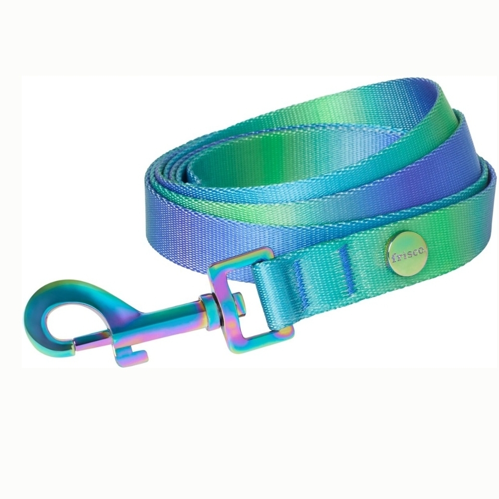 Iridescent Dog Leash